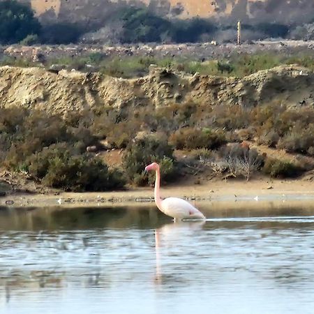 Flamingos View Apartment In Cabo De Gata El Pozo del Cabo ภายนอก รูปภาพ