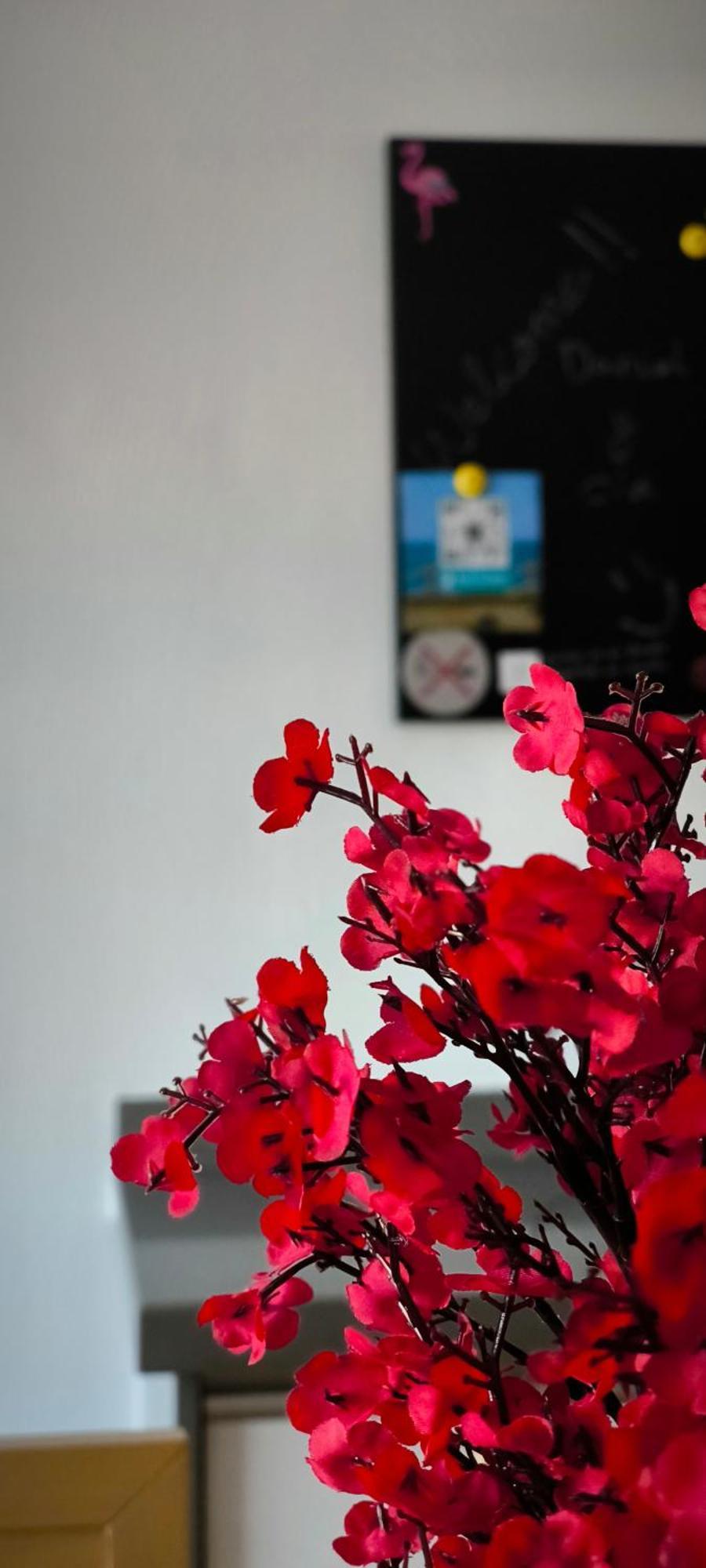 Flamingos View Apartment In Cabo De Gata El Pozo del Cabo ภายนอก รูปภาพ